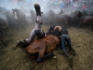 Aloitadores (fighters) wrestle wild horses during the Taming of the Beasts (Rapa Das Bestas) festiva